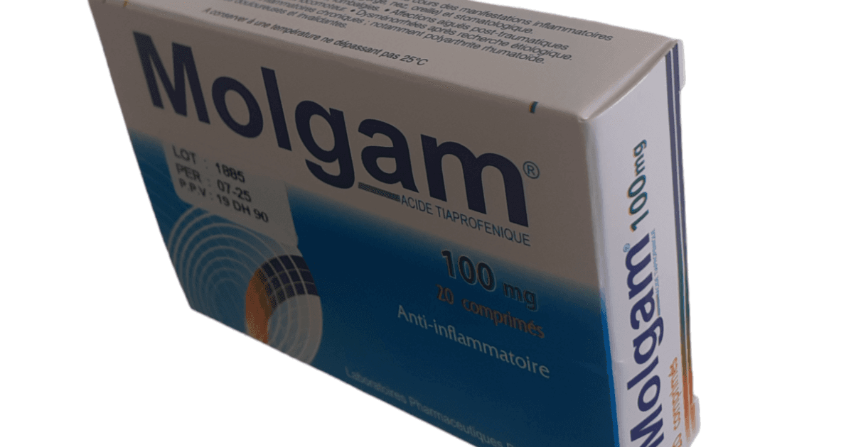 MOLGAM 100 MG, Comprimé